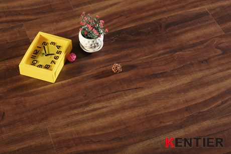 K4901-EIR Surface LVT Flooring at Kentier